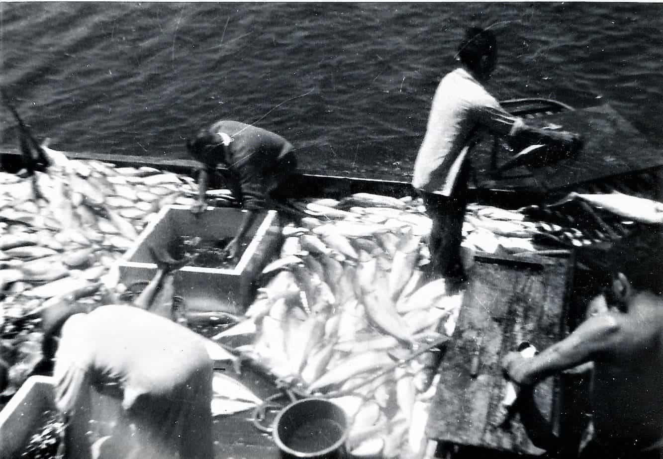 Catching kingfish back in the 1960s.