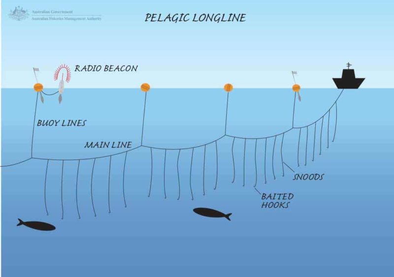 Pelagic Longline 1066x750