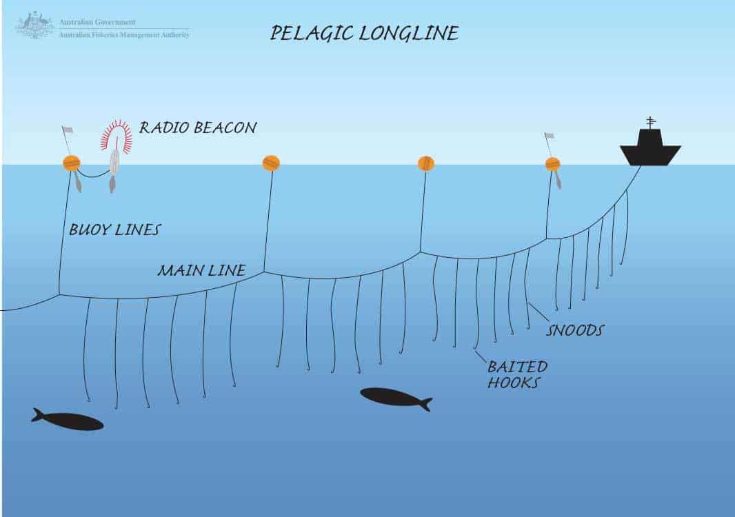 Pelagic Longline 1066x750