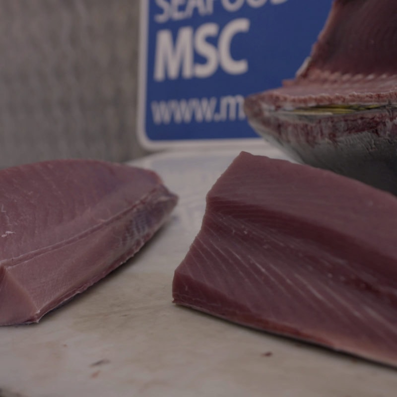 Pieces of fresh tuna