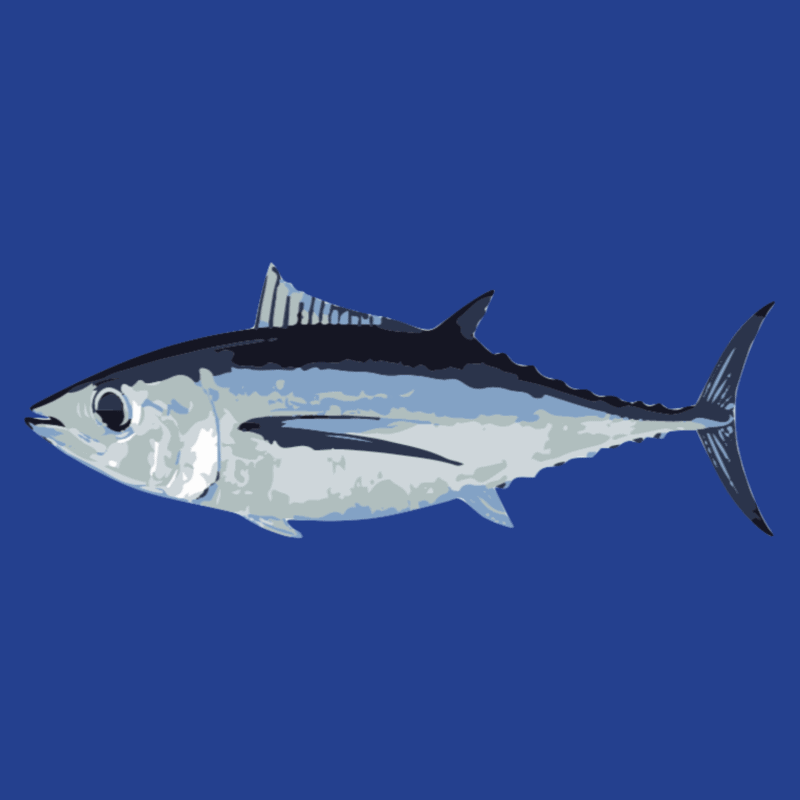 Fish Species - Tuna Australia