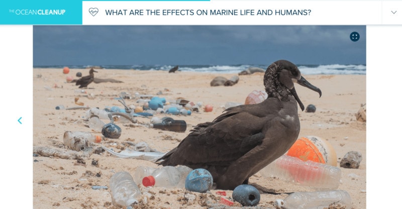 The Ocean Cleanup website provides details and analysis of the Great Pacific Garbage Patch.