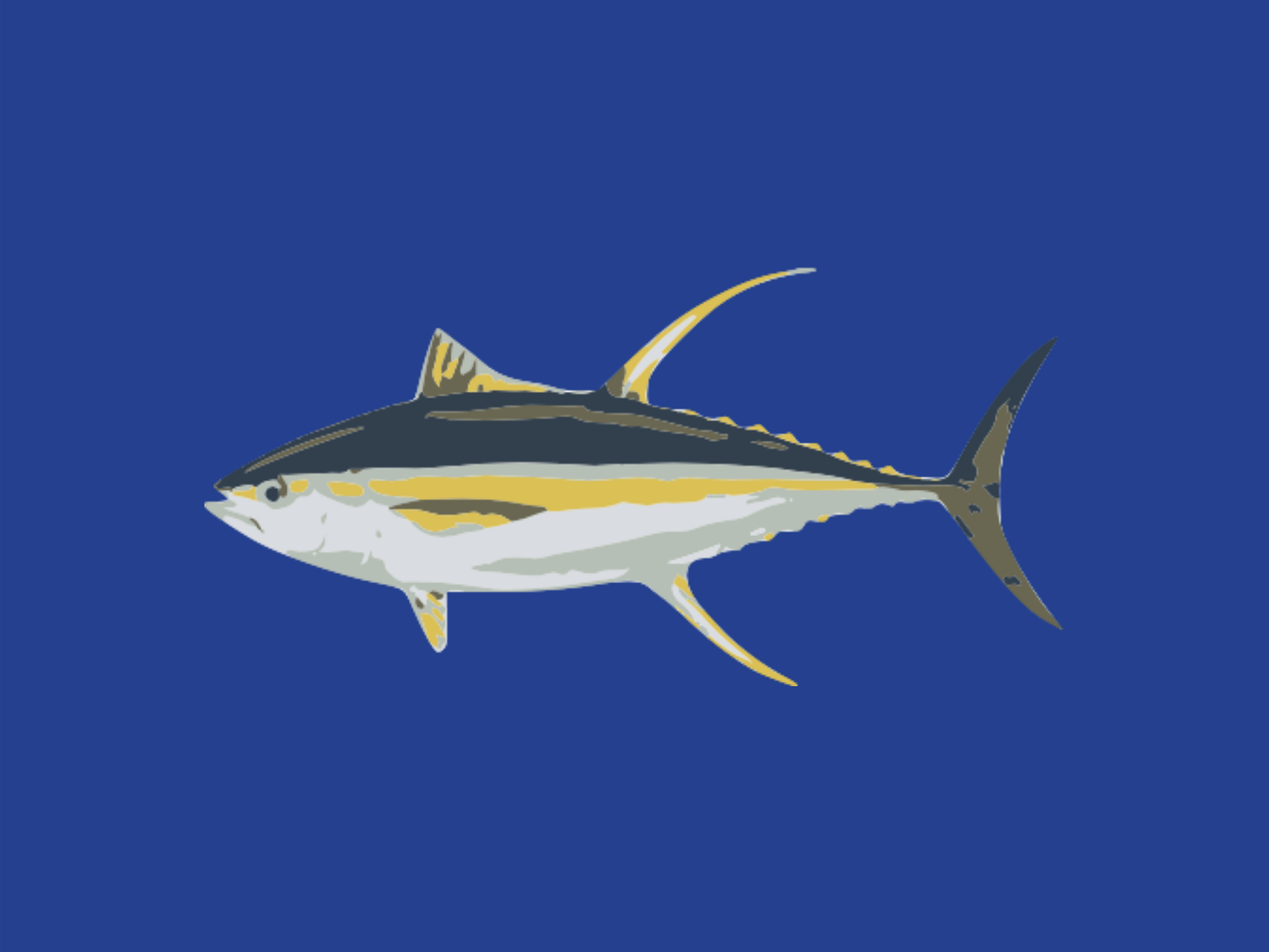 Yellowfin tuna - Tuna Australia