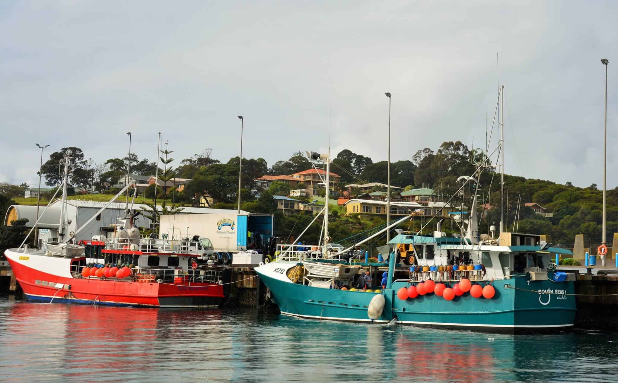 New export hub to help Ulladulla Fishermen’s Coop grow sales Tuna
