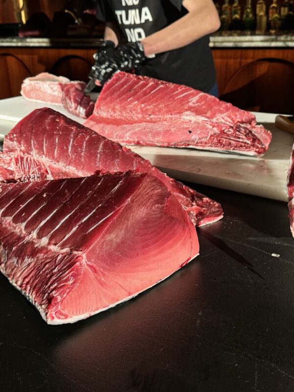 Southern Bluefin Tuna