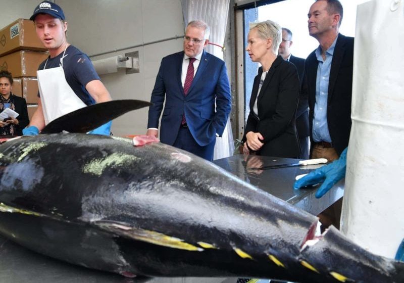 Scott Morrison at Walker Seafoods in Mooloolaba on Tuesday 28 July 2020. Photo by AAP