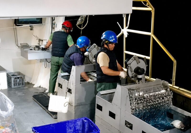 Crew safety picture