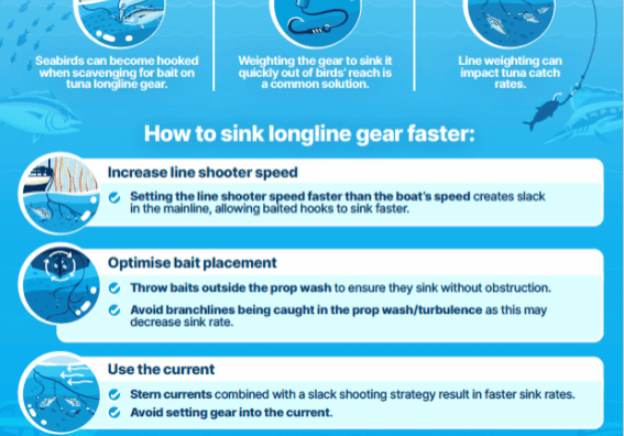 Infographic Sinking Bait Faster