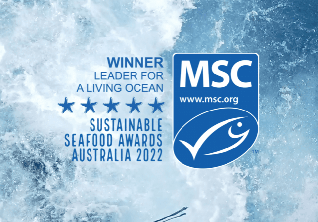 MSC award banner(1)