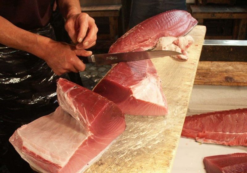 QUEENSLAND GOVERNMENT ECONOMIC RECOVERY GRANT FOR TUNA FISHING INDUSTRY